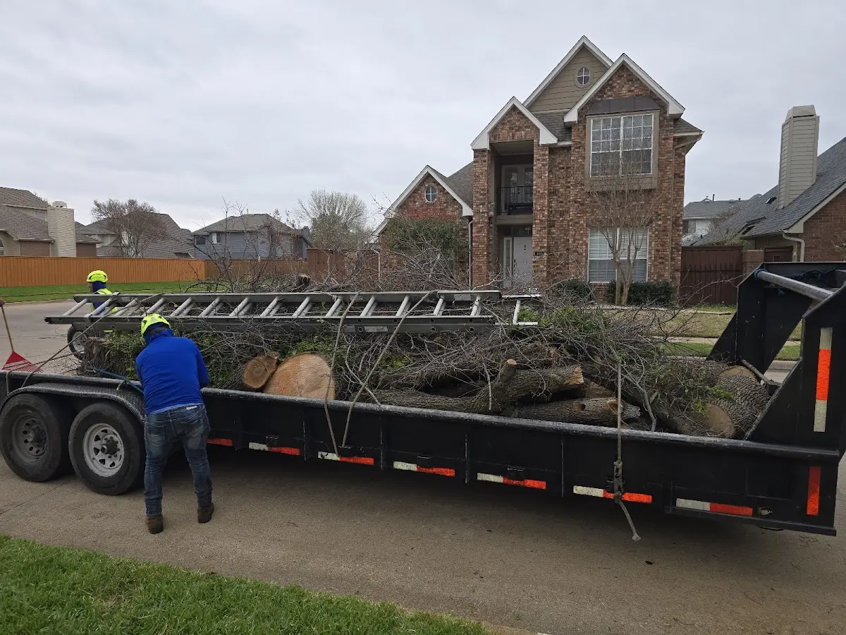 Expert Tree Pest Control with proper safety equipment in Marmarth